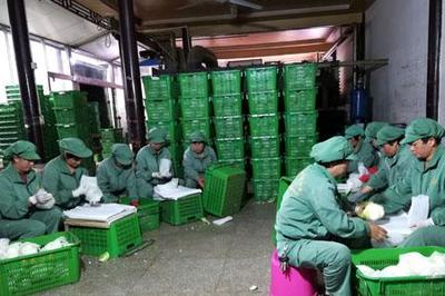 玉溪市投资促进局 以精准服务激活投资新动能