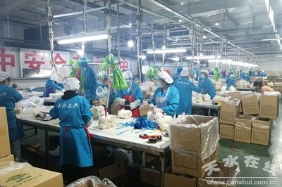 宝能物流集团考察天水国家农业科技园区，现代农业机遇深度对接